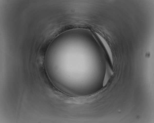 X0000090620033200707311253