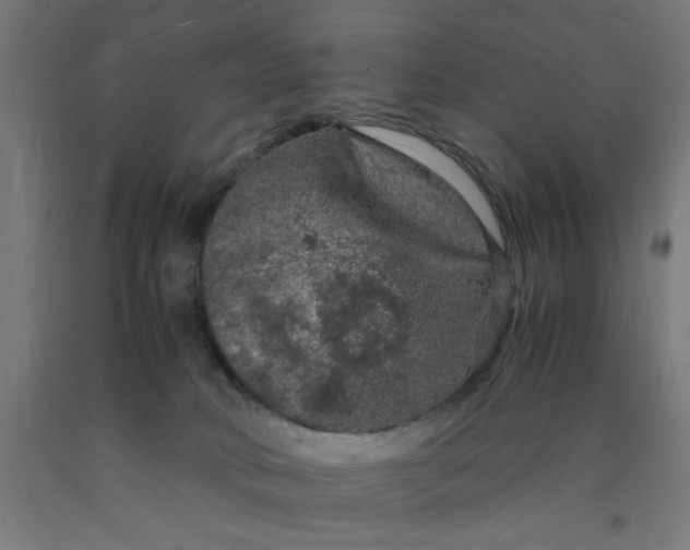 X0000090620034200707311253