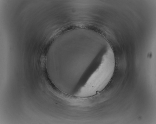 X0000090620036200707311253