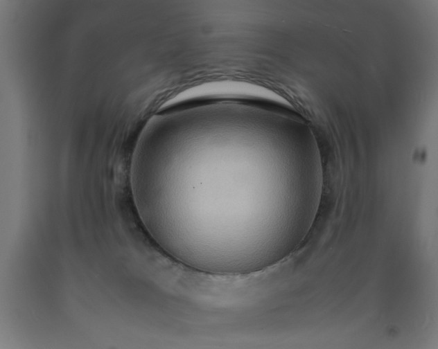 X0000090620037200707311253