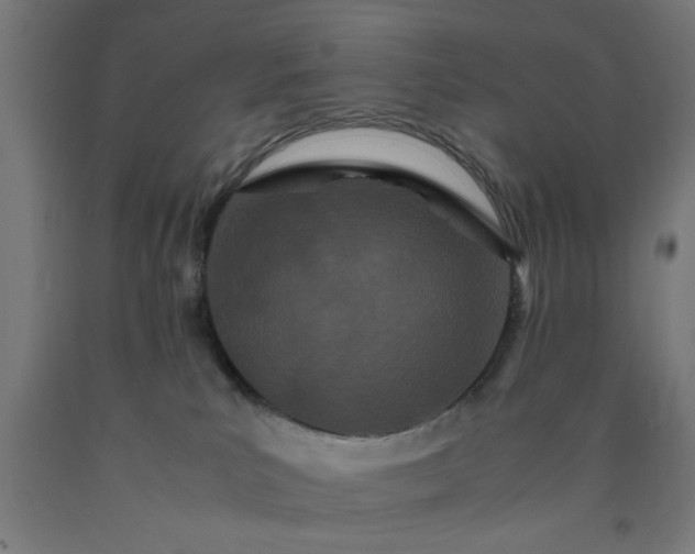 X0000090620039200707311253