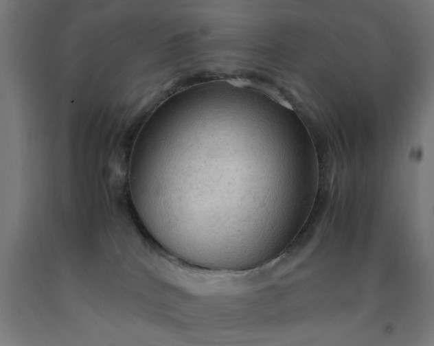 X0000090620040200707311253