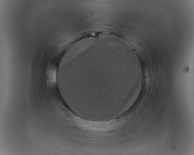 X0000090620042200707311253