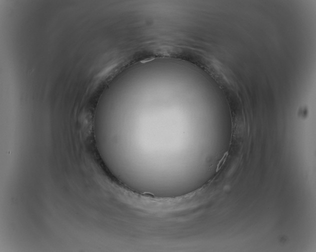 X0000090620043200707311253