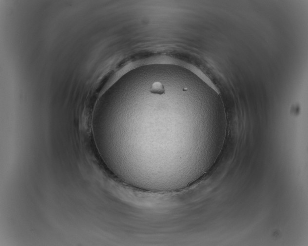 X0000090620044200707311253