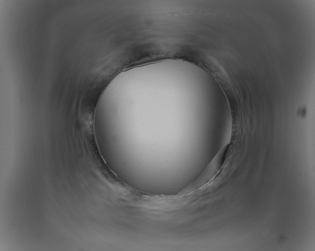 X0000090620045200707311253