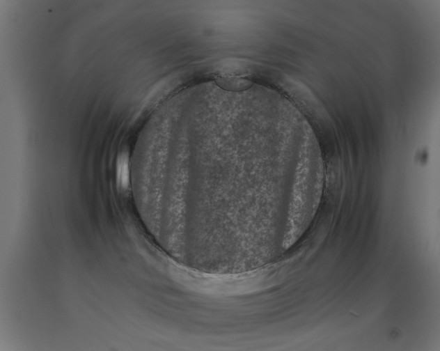 X0000090620046200707311253