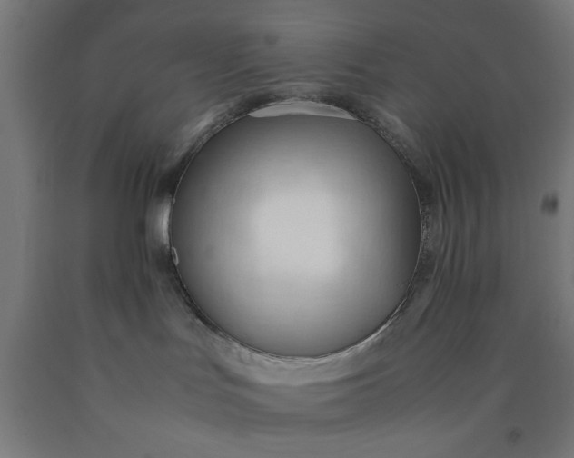 X0000090620047200707311253