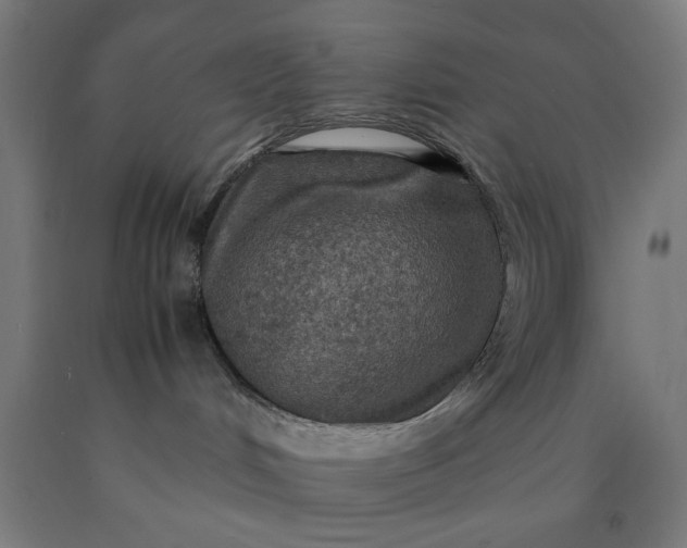 X0000090620048200707311253