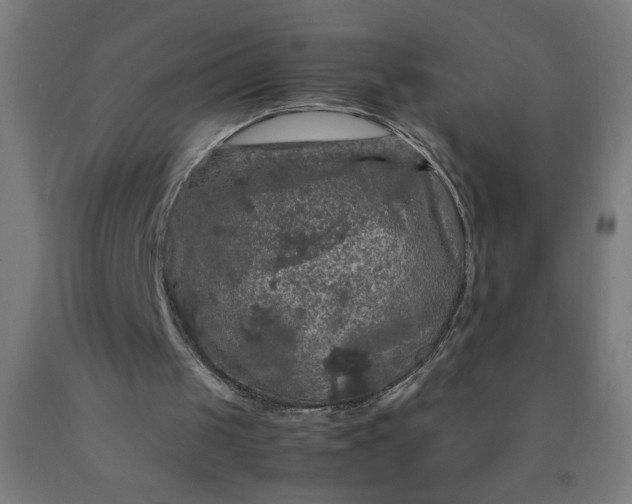 X0000090620049200707311253