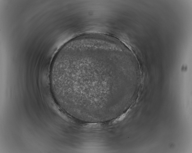 X0000090620050200707311253