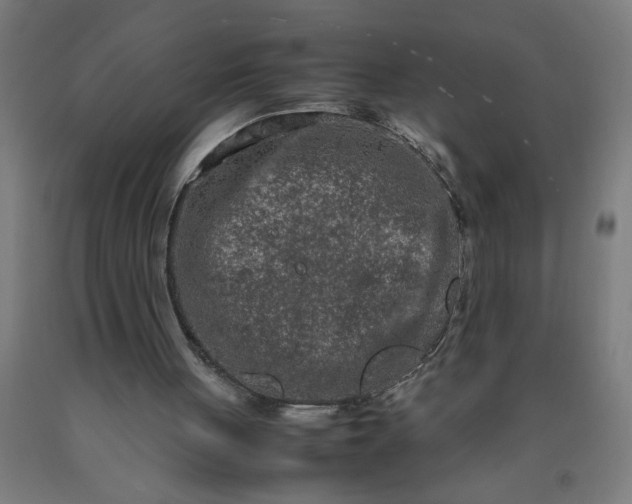 X0000090620051200707311253