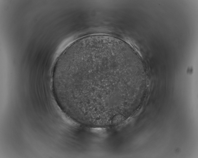 X0000090620053200707311253