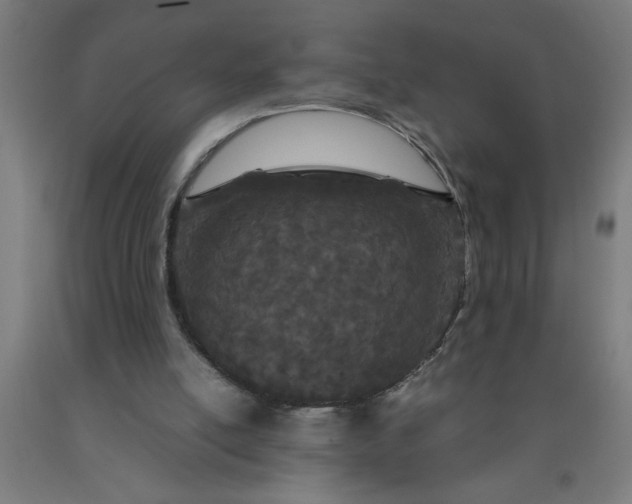 X0000090620054200707311253