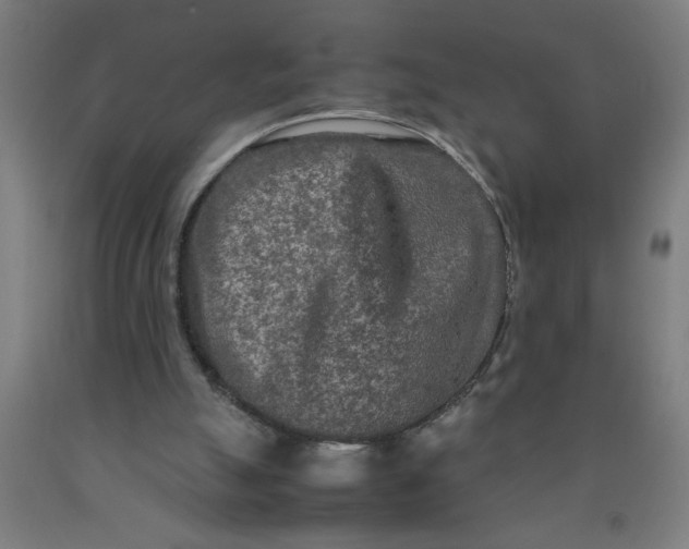 X0000090620055200707311253