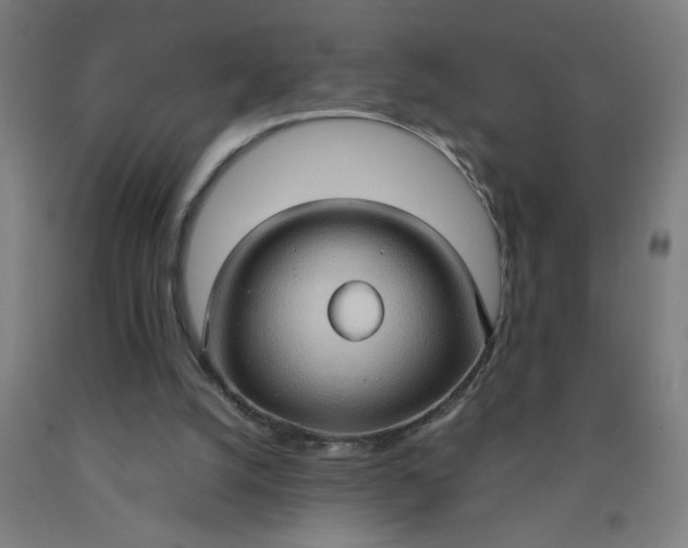 X0000090620056200707311253