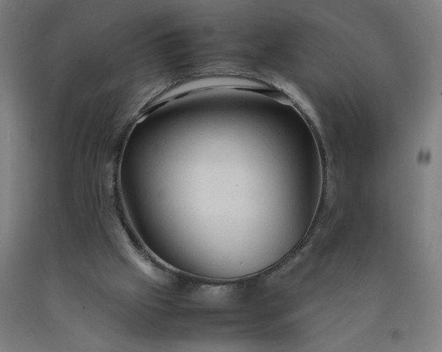 X0000090620057200707311253