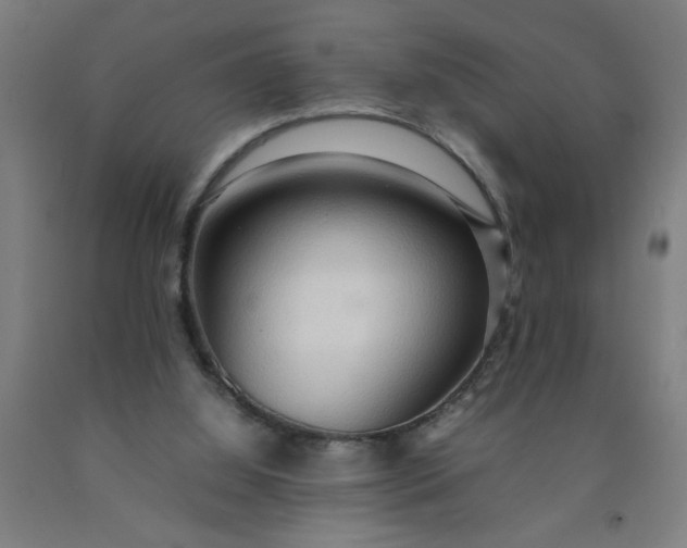 X0000090620060200707311253