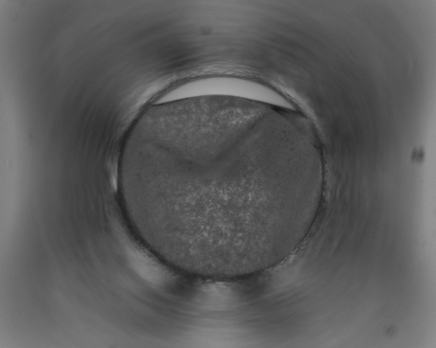 X0000090620062200707311253