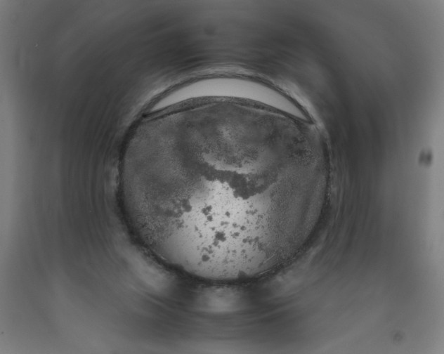 X0000090620063200707311253