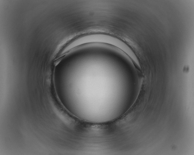 X0000090620064200707311253