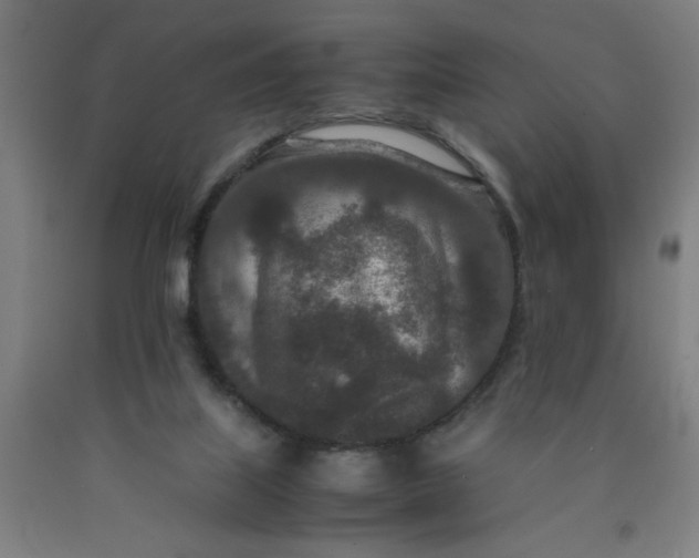 X0000090620067200707311253