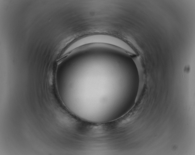 X0000090620068200707311253