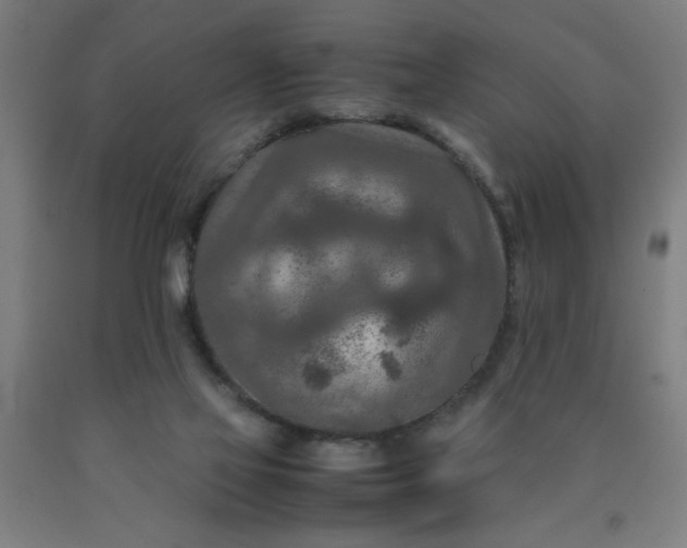 X0000090620069200707311253