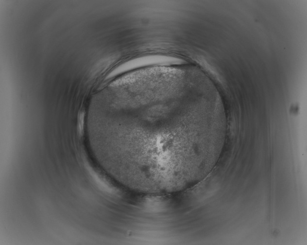 X0000090620070200707311253