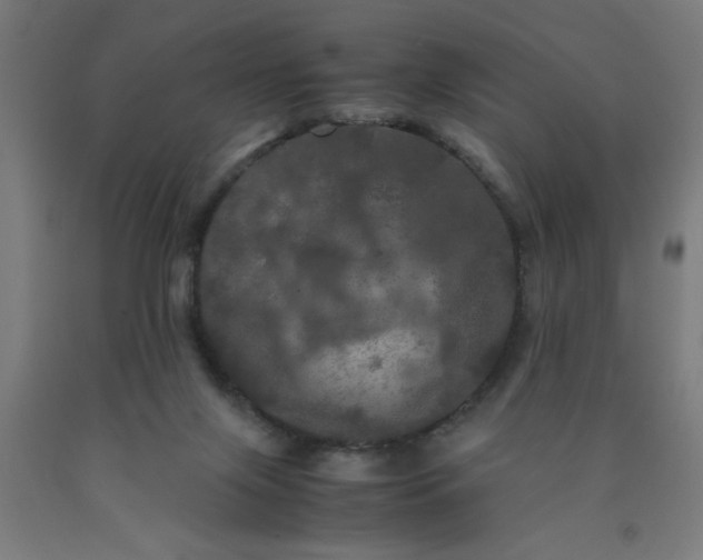 X0000090620071200707311253