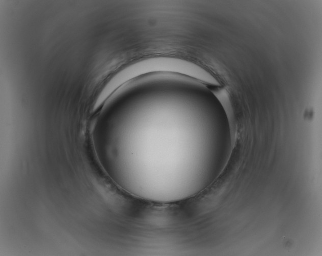 X0000090620072200707311253