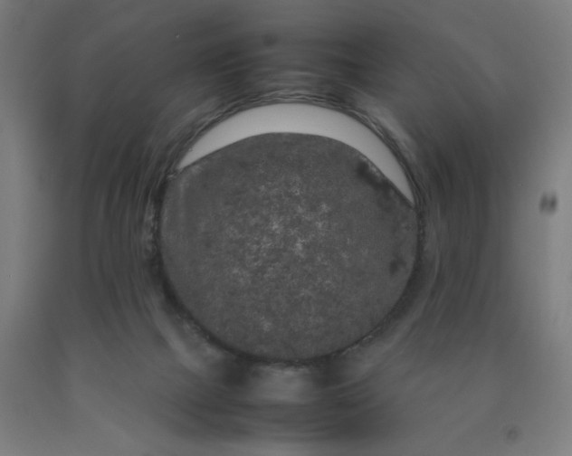 X0000090620073200707311253