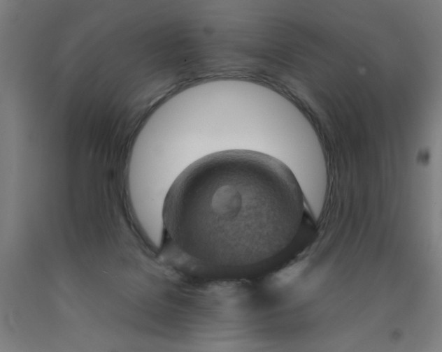 X0000090620076200707311253