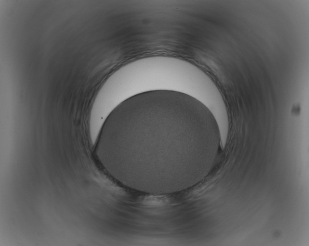 X0000090620077200707311253