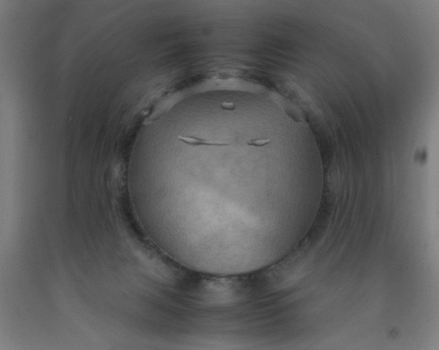 X0000090620079200707311253