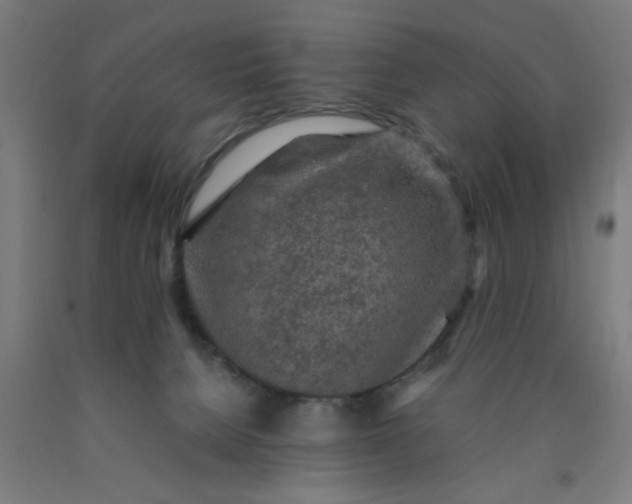 X0000090620080200707311253