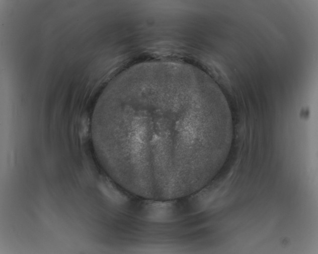 X0000090620081200707311253