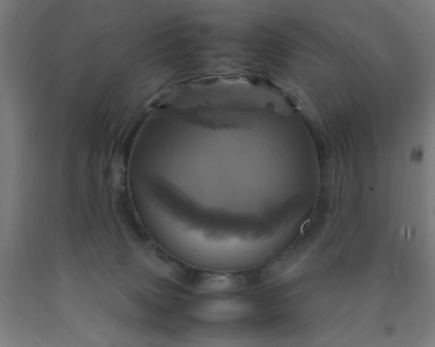 X0000090620083200707311253