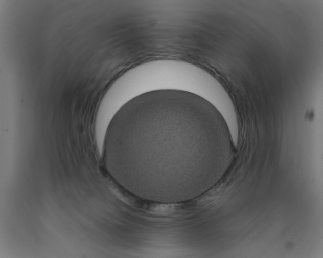 X0000090620084200707311253