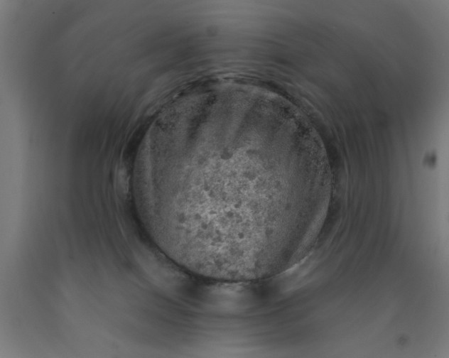 X0000090620086200707311253