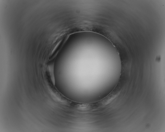 X0000090620088200707311253