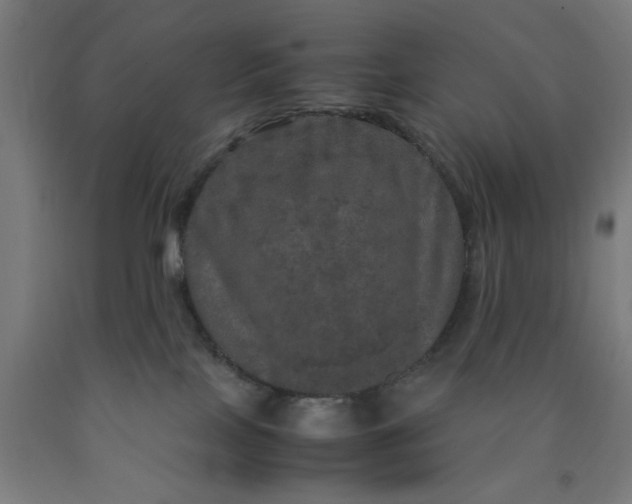 X0000090620089200707311253