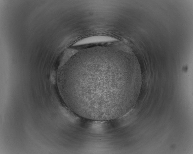 X0000090620090200707311253