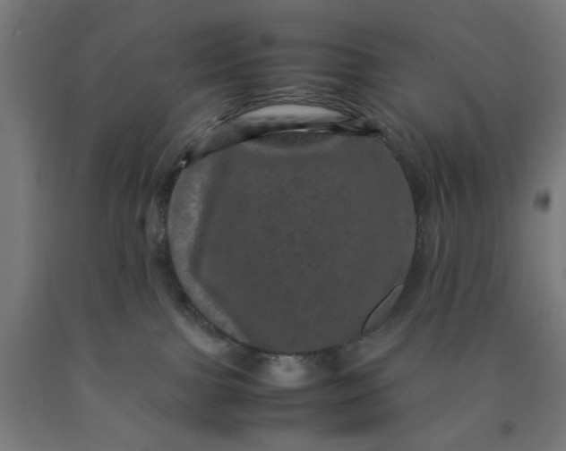 X0000090620091200707311253