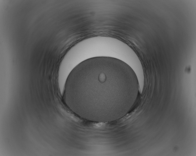 X0000090620092200707311253