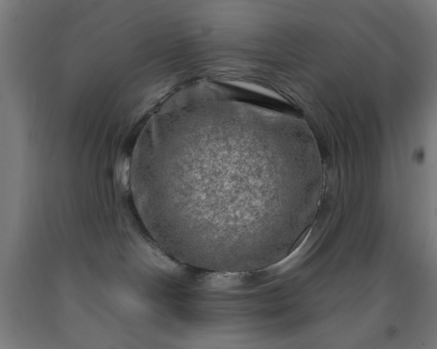 X0000090620094200707311253