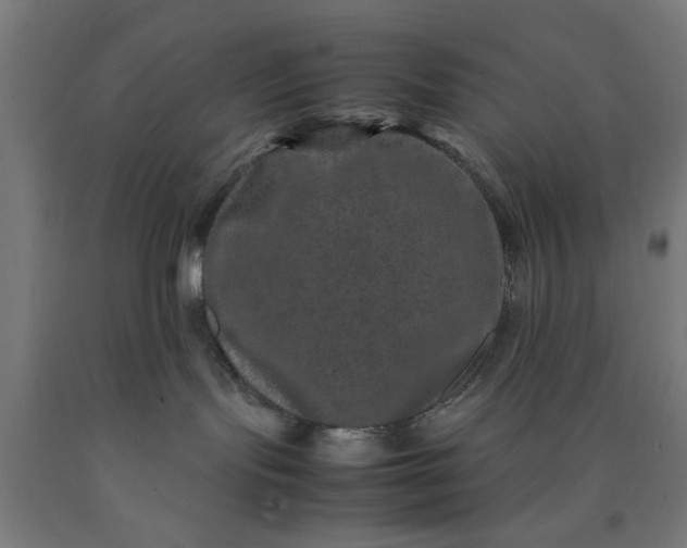 X0000090620095200707311253