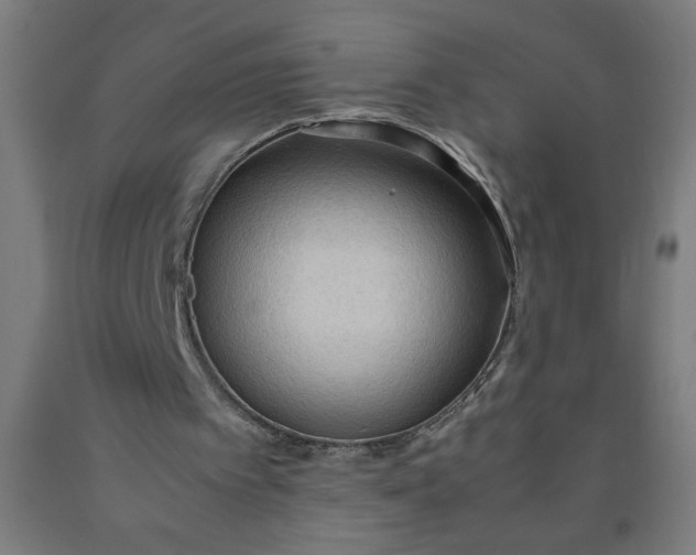 X0000090620097200707311253