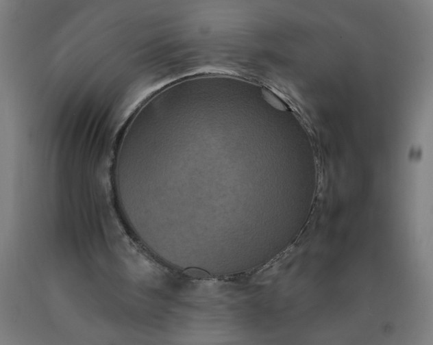 X0000090620098200707311252