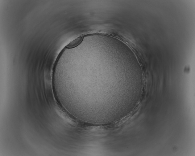 X0000090620100200707311252